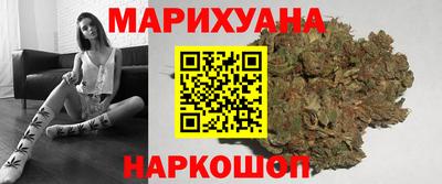 крисы Краснодар