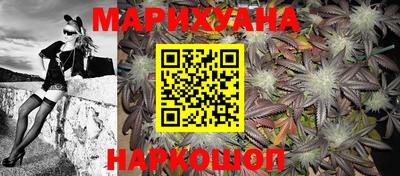 крисы Краснодар